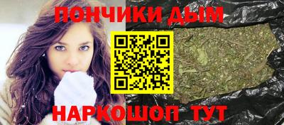 спиды Заводоуковск