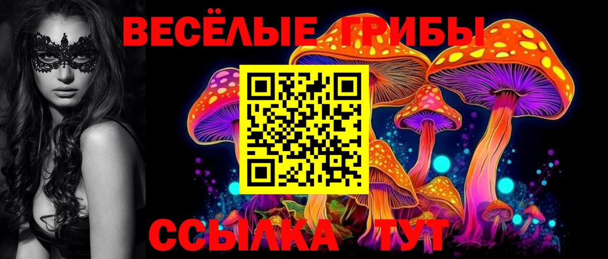 Галлюциногенные грибы Psilocybine cubensis Тимашёвск